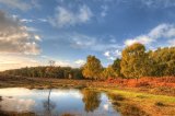 Shatterford Bottom