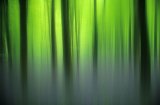 Blue and Green