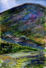 Broadhope Hill The Cheviots