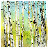 birch bluegreen 2019104