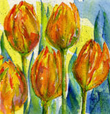 flame tulips