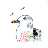 mono gull 048-001crop