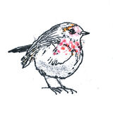 mono robin 2051crop1