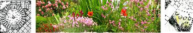 garden design 1
