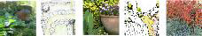 garden design 2