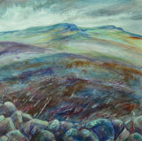 Simonside Hills, hints of heather