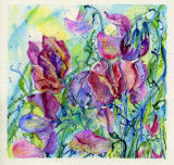 sweetpeas II