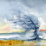 thorn watercolour001