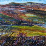 SOLD Towards Tosson Hill