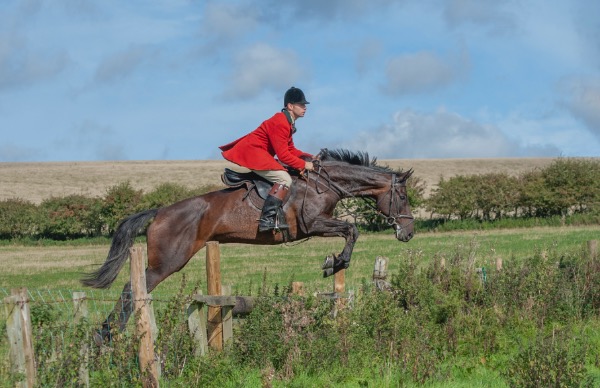 Berwickshire Hounds 2019 Autumn