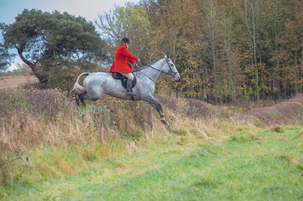 Berwickshire Hounds Opening Meet 2019