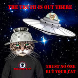 cat from outer space