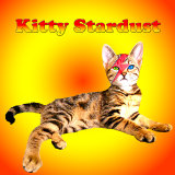kitty stardust