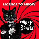 licence to meow