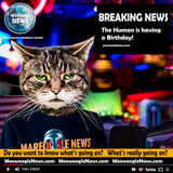 meowoogle news