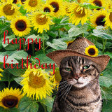 self-pawtrait with a straw hat