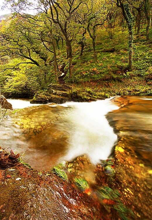 Watersmeet Staircase