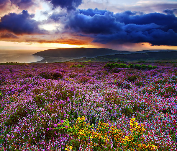 Sunrise at Porlock Bay