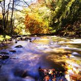 River Deep Autumn on the river Barle on Exmoor with the light relected off the river surface
