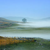 Mist at Malham