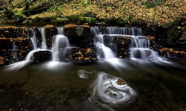 Lower Scaleber Force
