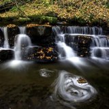 Lower Scaleber Force