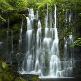 Wall of Water Scale Haw Waterfall is hidden away near Hebden village