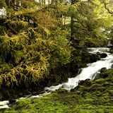 Sleet Gill Beck
