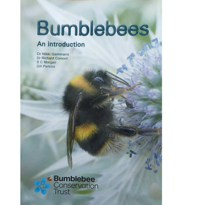 Bumblebees an introduction