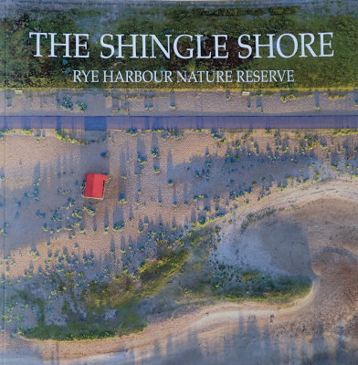 The Shingle Shore