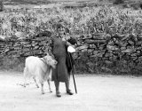 Goatherd Portugal