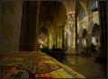 Exeter Cathedral