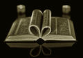C---Book Lover