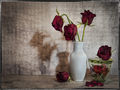 Third--- Flower shadows