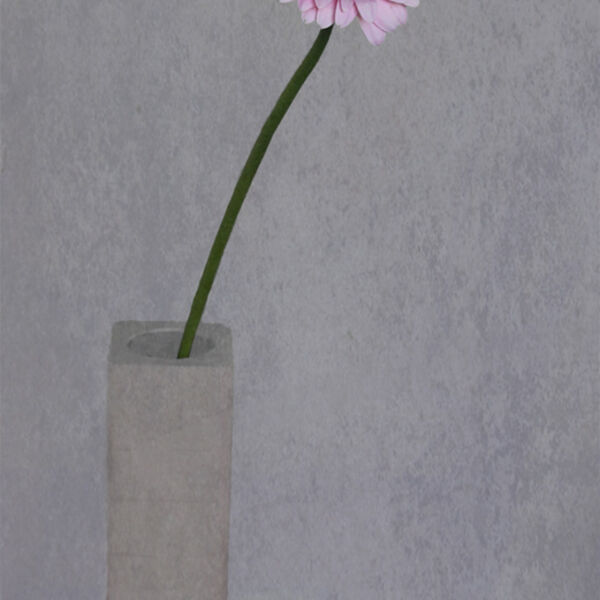 Best of the Year - Colour DPI