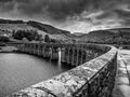 Andy Haynes--- Garreg Du Dam Commended