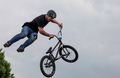 Sue Bennett Flight of the Bike. C.