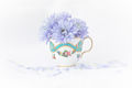 Sue Bennett Granny's Cup . H.C.
