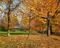 Carol Clague--- Castle Park, Bristol