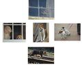 Cats and Dogs Panel---Phil Oates