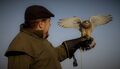 Christine Cilia-la-corte ---Man with his bird
