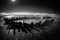 Christopher Harris ---Berrow Wreck Highly Commended