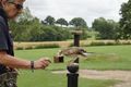 Christine Cilia-la-corte, Bird of Prey Centre