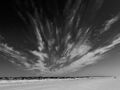 Zoom Meeting Clouds