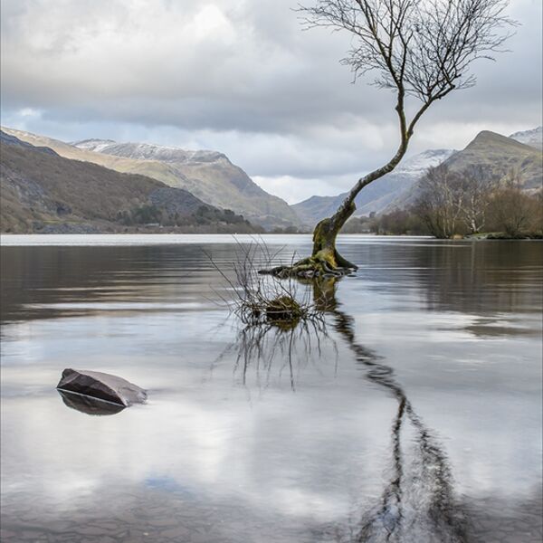Competition 2 Colour Prints