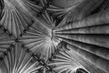 Column and Ceiling, Exeter Cathedral