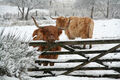 Cynthia Mallin---A nice wee drop of weather we're having