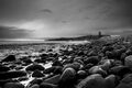 Geoff Mallin--- Dunstanburg shoreline