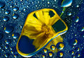 Geoff Mallin--- Primary Colours
