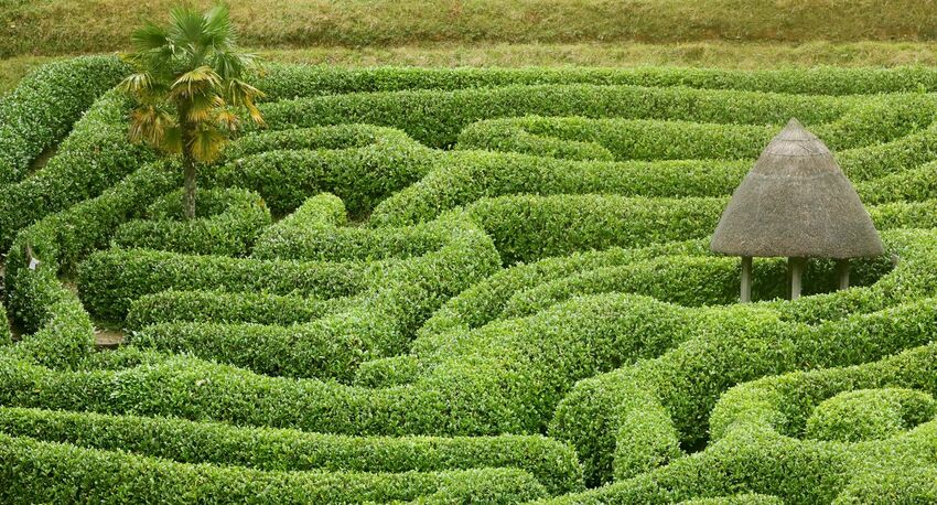 Glendurgan Maze